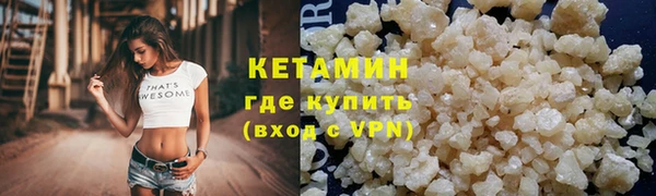 крисы Алзамай