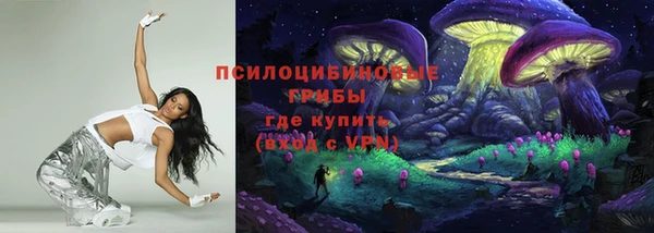 крисы Алзамай