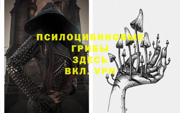 твердый Алексеевка