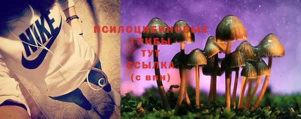 бутират Мегион