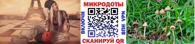 Галлюциногенные грибы прущие грибы Томилино
